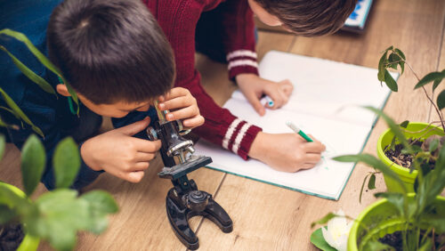 Children with microscopes at a table in science class.